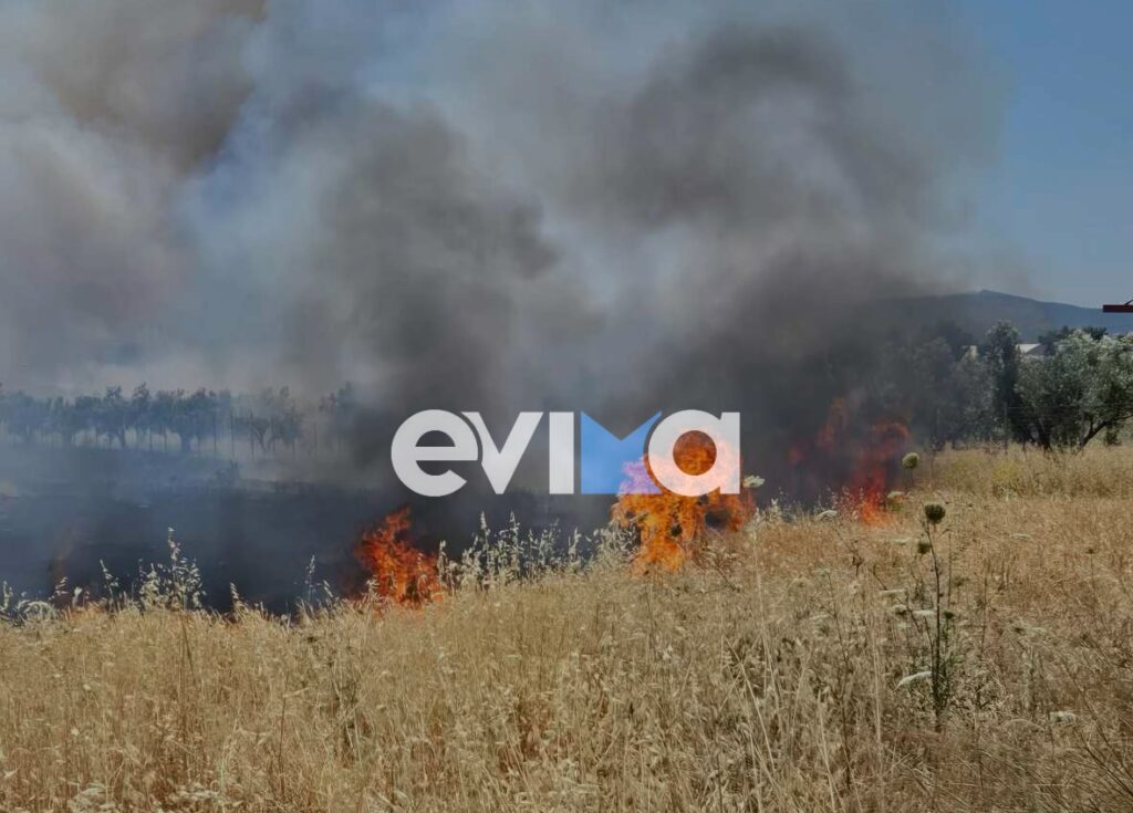 φωτιά-στην-εύβοια-κοντά-σε-εργοστάσιο-1339913
