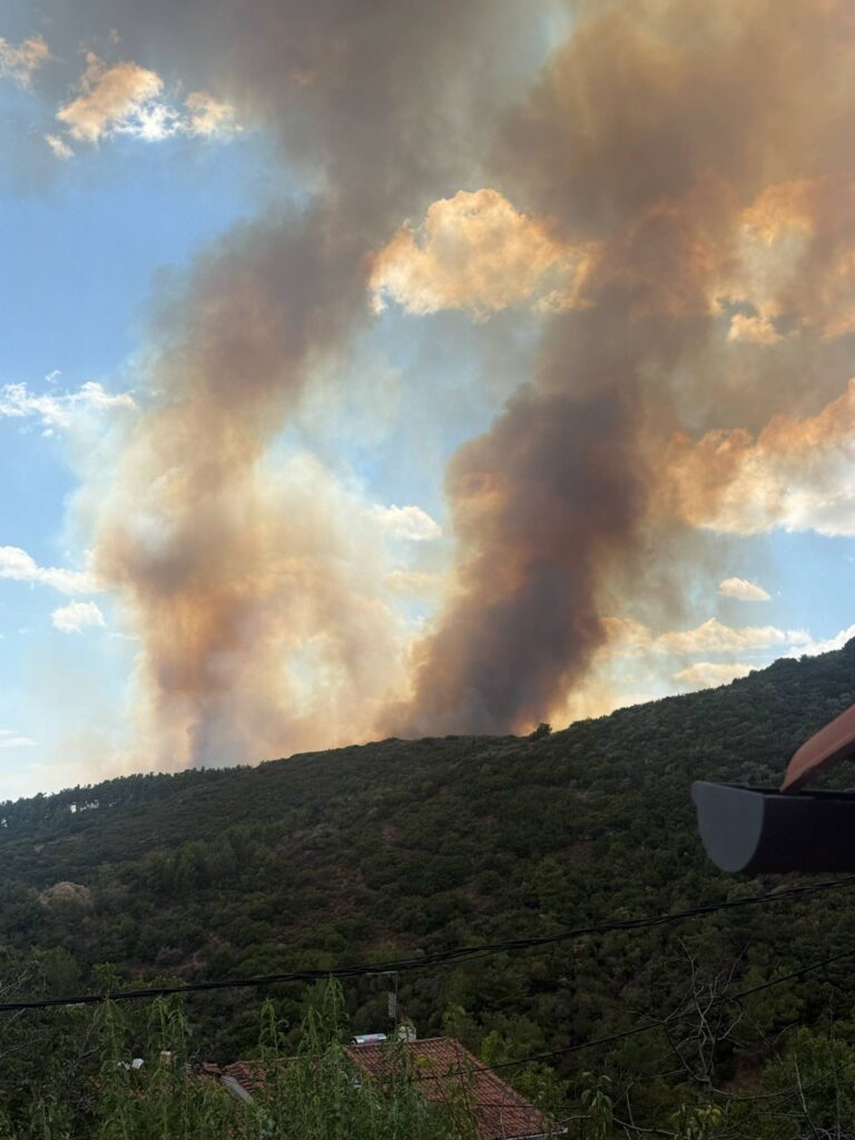 συνεχίζει-να-καίει-η-φωτιά-στις-παρυφέ-1355376