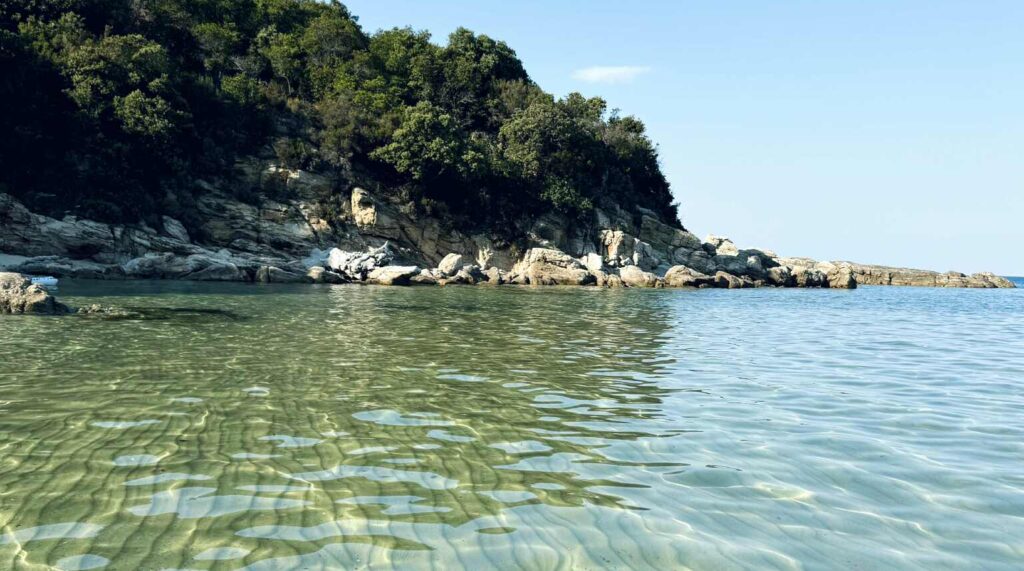 ξανθιά-άμμος-ρηχά-νερά-πεύκα-μέχρι-το-1350531