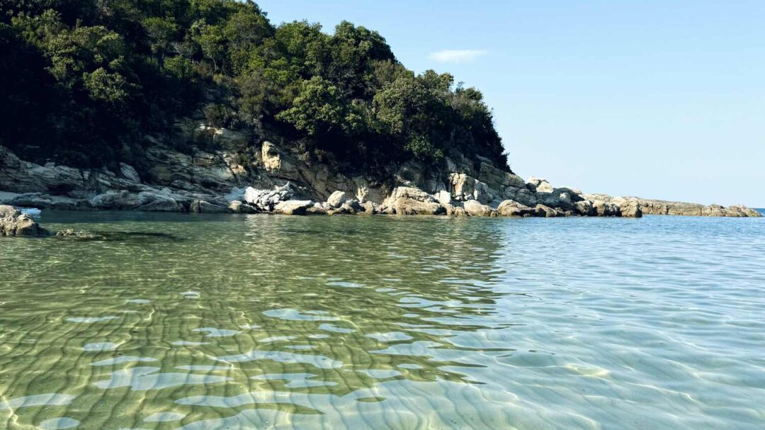 ξανθιά-άμμος-ρηχά-νερά-πεύκα-μέχρι-το-1350531