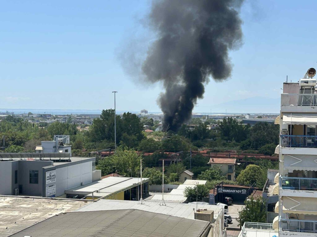 εικόνες-σε-εξέλιξη-φωτιά-στη-μενεμένη-1351339