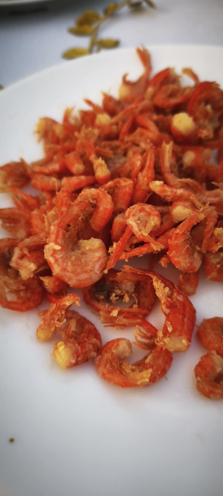 Καστελόριζo