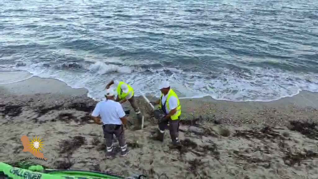 χαλκιδική-ο-δήμος-κασσάνδρας-ξήλωσε-ο-1355239