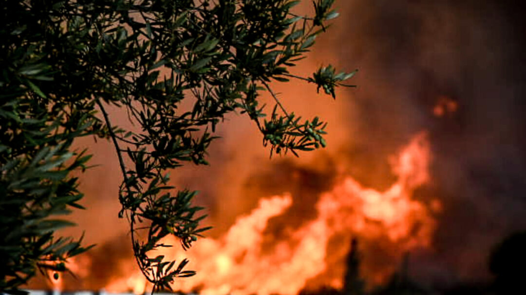 πύρινη-κόλαση-στην-αχαΐα-με-σπίτια-και-1361742