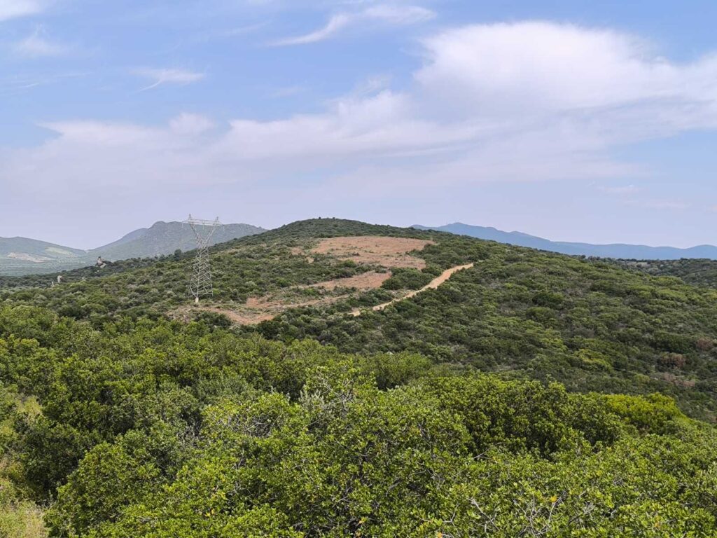 πολύγυρος-αίτηση-ακύρωσης-και-αναστο-1357186