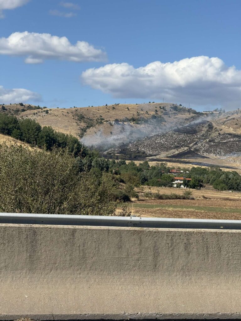 συναγερμός-στη-κοζάνη-φωτιά-στη-νέα-νι-1369600