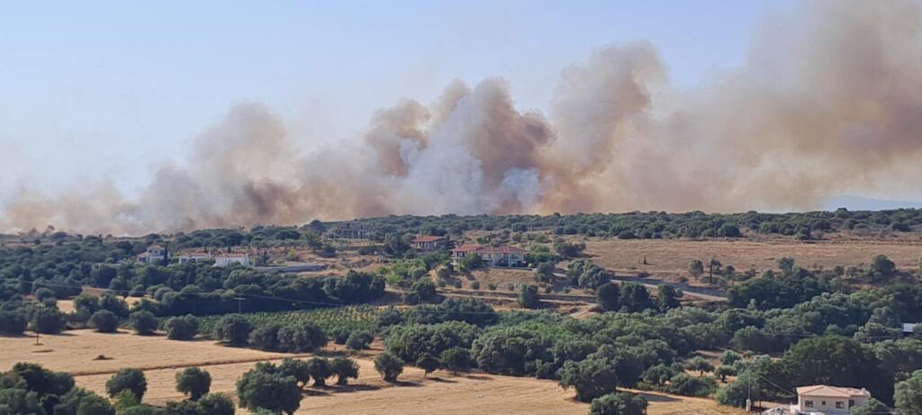 κεφαλονιά-στα-δέκα-μέτρα-από-τα-σπίτι-1359587