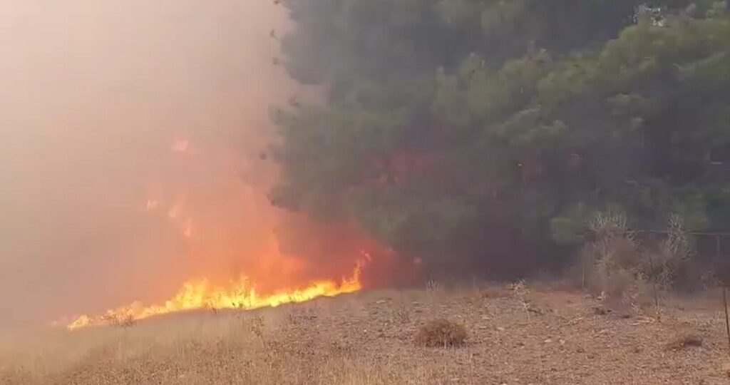αναζωπυρώθηκε-η-φωτιά-στη-λέσβο-ενισ-1371516
