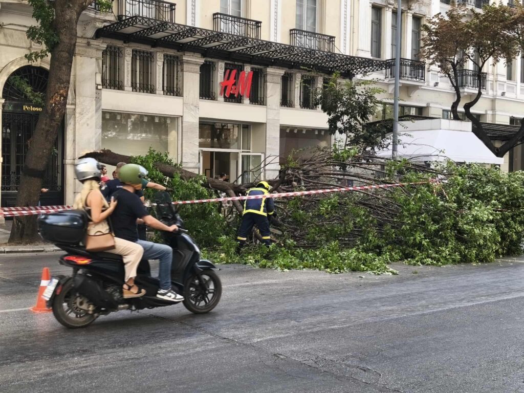 πυρά-από-ζέρβα-για-την-πτώση-κλαδιού-στ-1373429