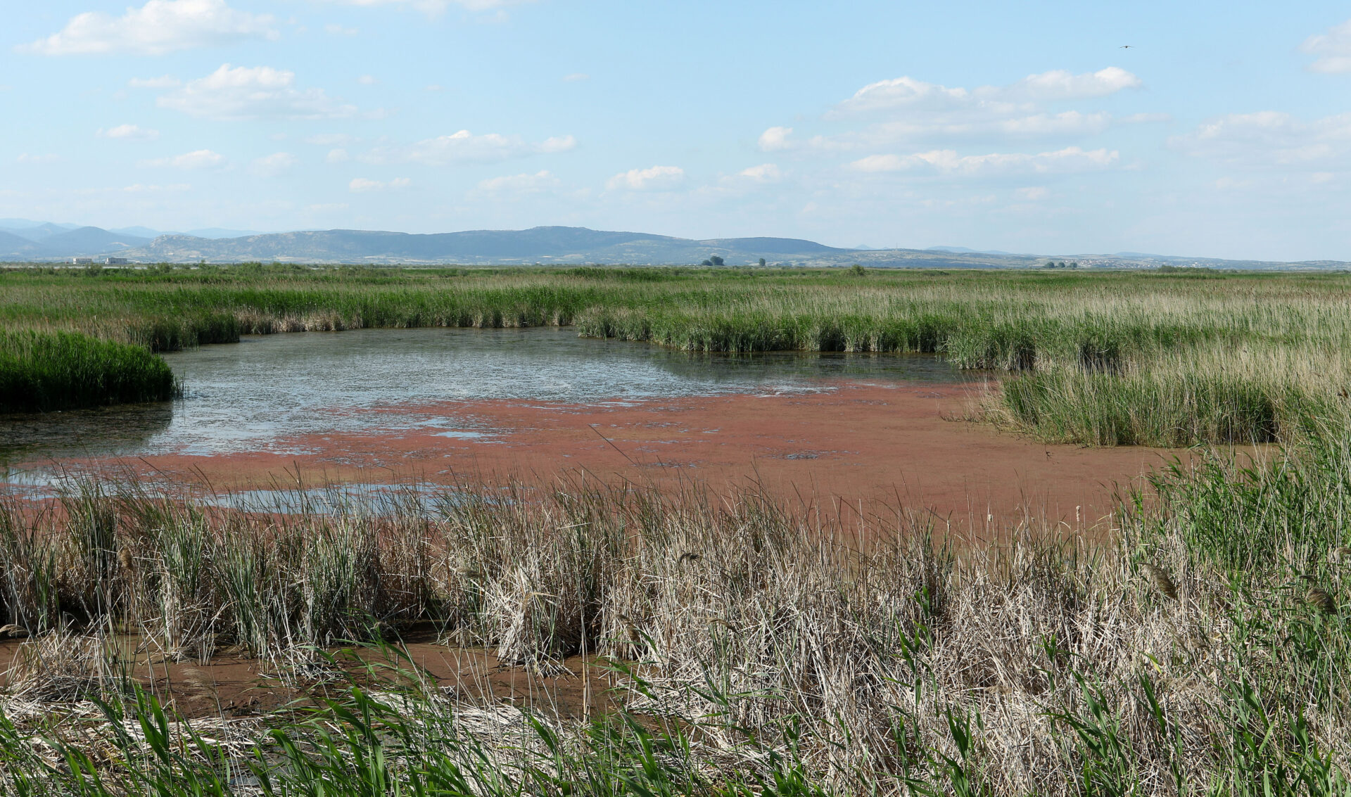 Δέλτα του Έβρου