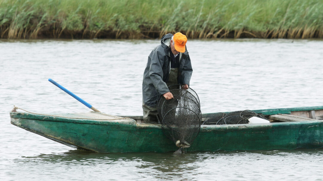 o-έβρος-διψάει-πώς-η-λειψυδρία-απειλε-1391390