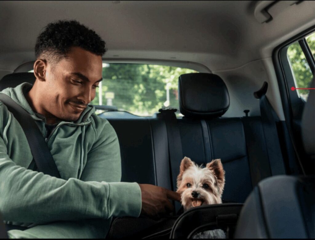 το-uber-taxi-pet-έρχεται-στην-ελλάδα-για-εύκολες-μ-1389366