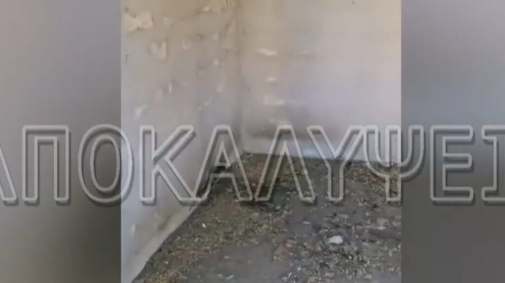 δεκάδες-νεκρά-ζώα-στη-ροδόπη-ανάμεσα-σ-1395004