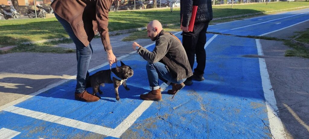 θεσσαλονίκη-πρόστιμα-από-300-έως-500-ευρώ-σε-1396753