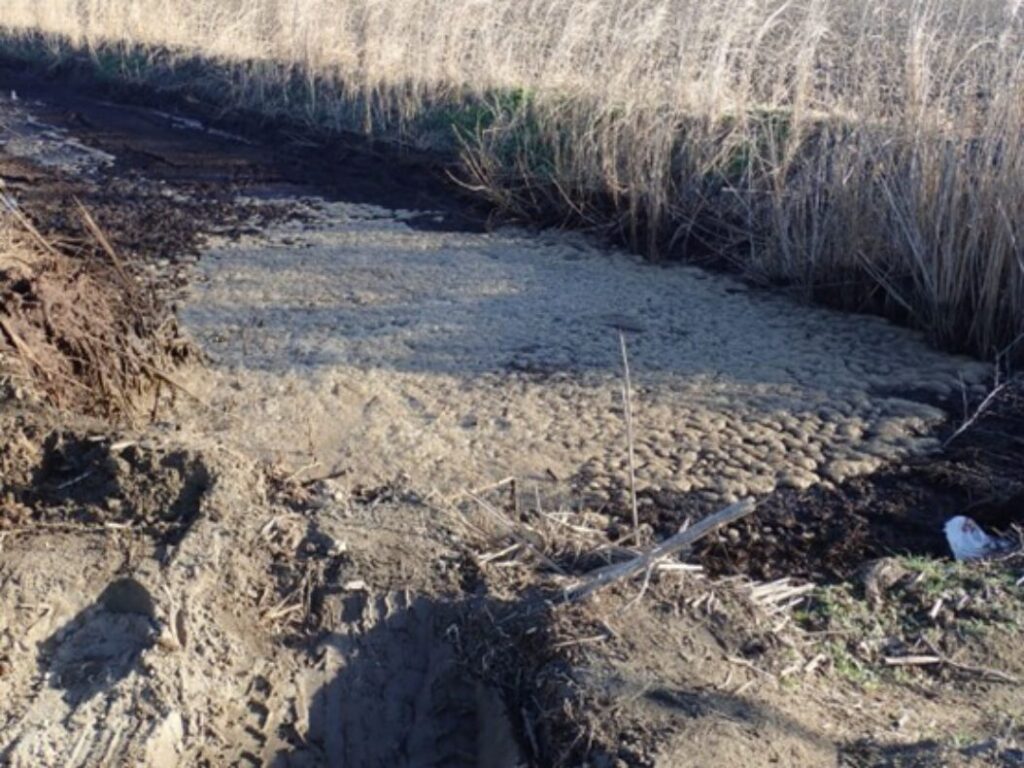 θεσσαλονίκη-επιχειρηματίας-έριχνε-α-1400306