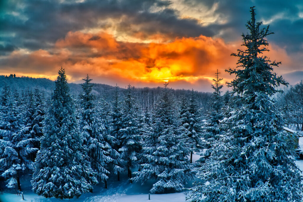 στο-χωριό-της-χαλκιδικής-που-τα-χριστο-1397634