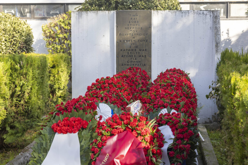 εικονες-γαρύφαλλα-και-στεφάνια-στο-μν-1401118