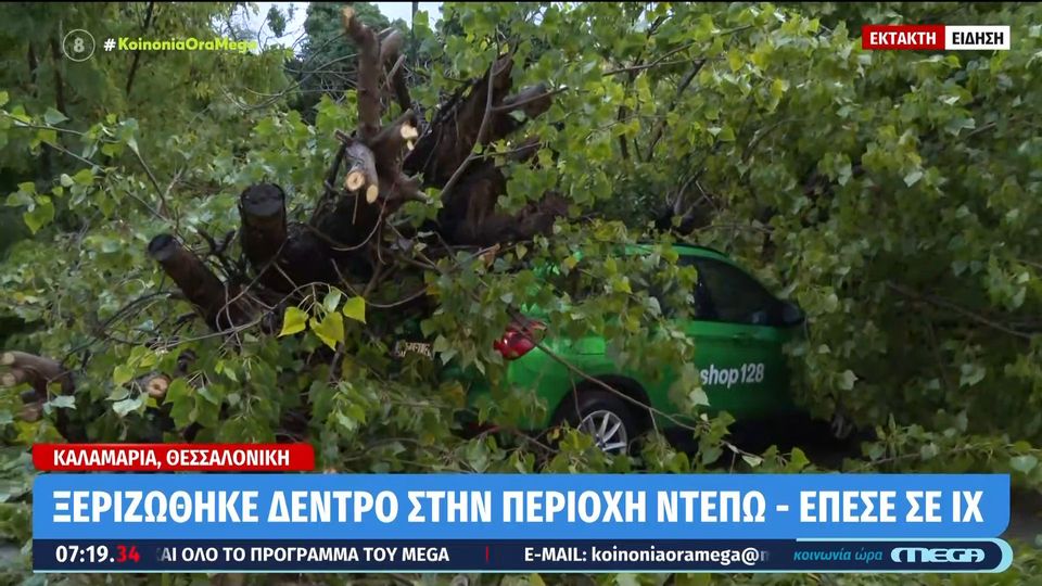 θεσσαλονίκη-βίντεο-δέντρα-έπεσαν-πάν-1398741