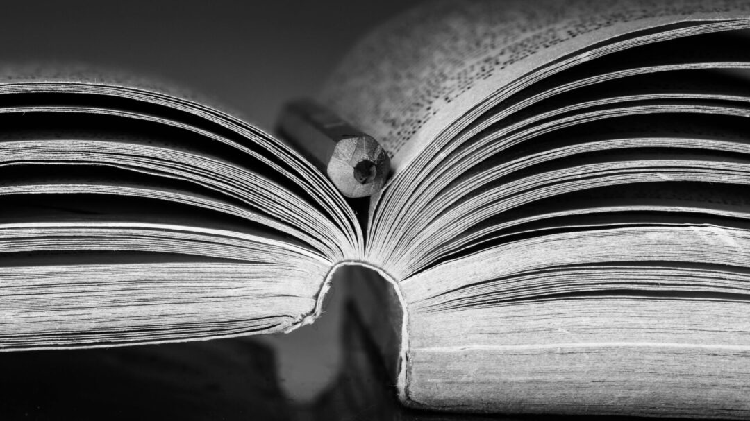 όταν-η-πολιτική-γίνεται-best-seller-1400061