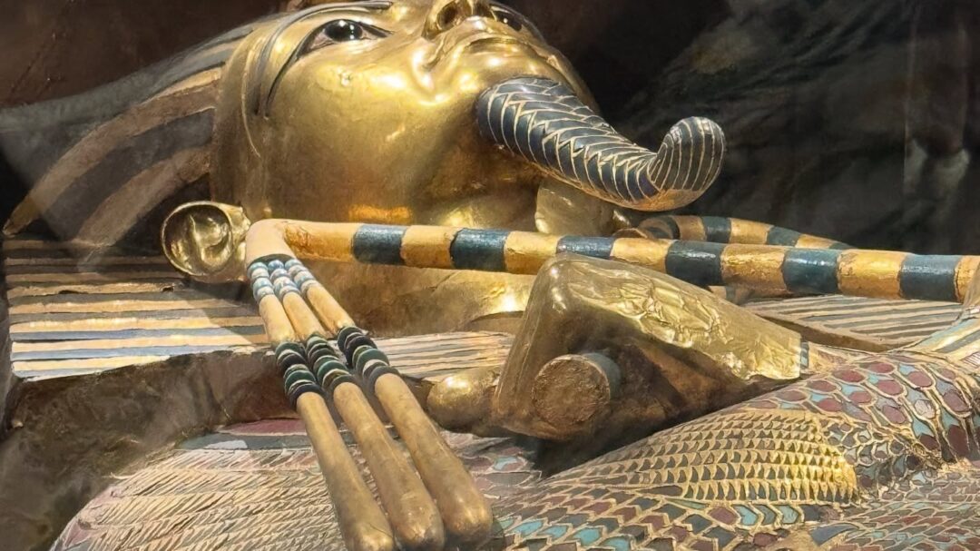 η-μάγια-τσόκλη-στο-πιο-συζητημένο-νέο-μ-1400921