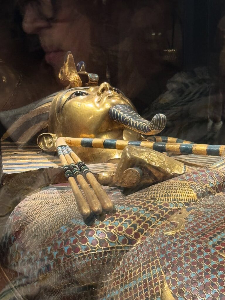 η-μάγια-τσόκλη-στο-πιο-συζητημένο-νέο-μ-1400921