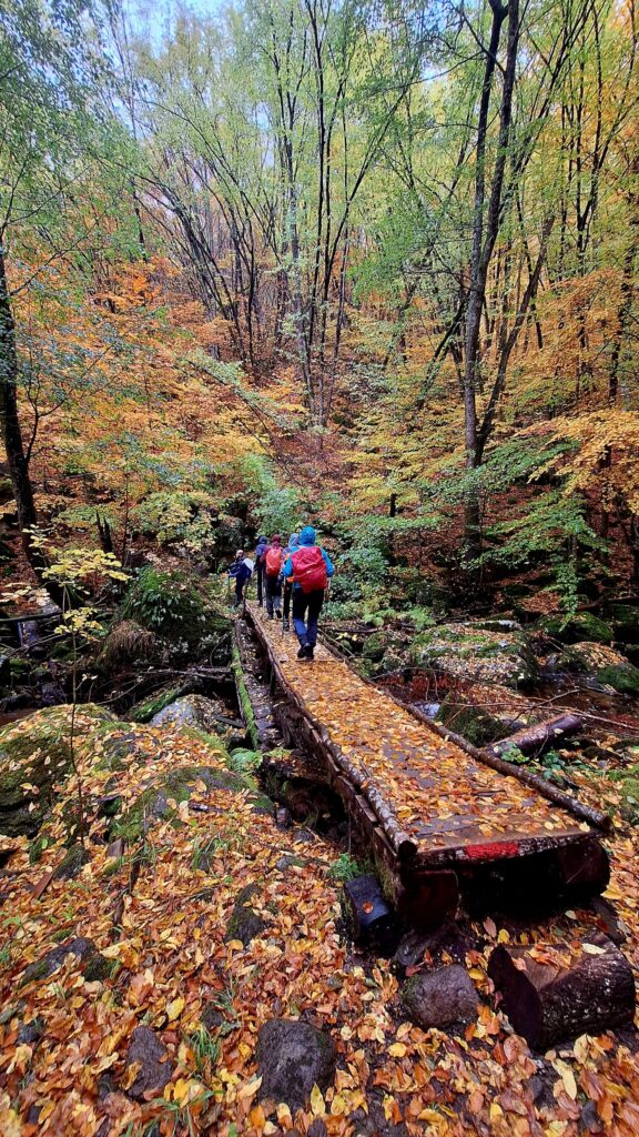 εικονες-φθινοπωρινά-πυροτεχνήματα-δ-1395960