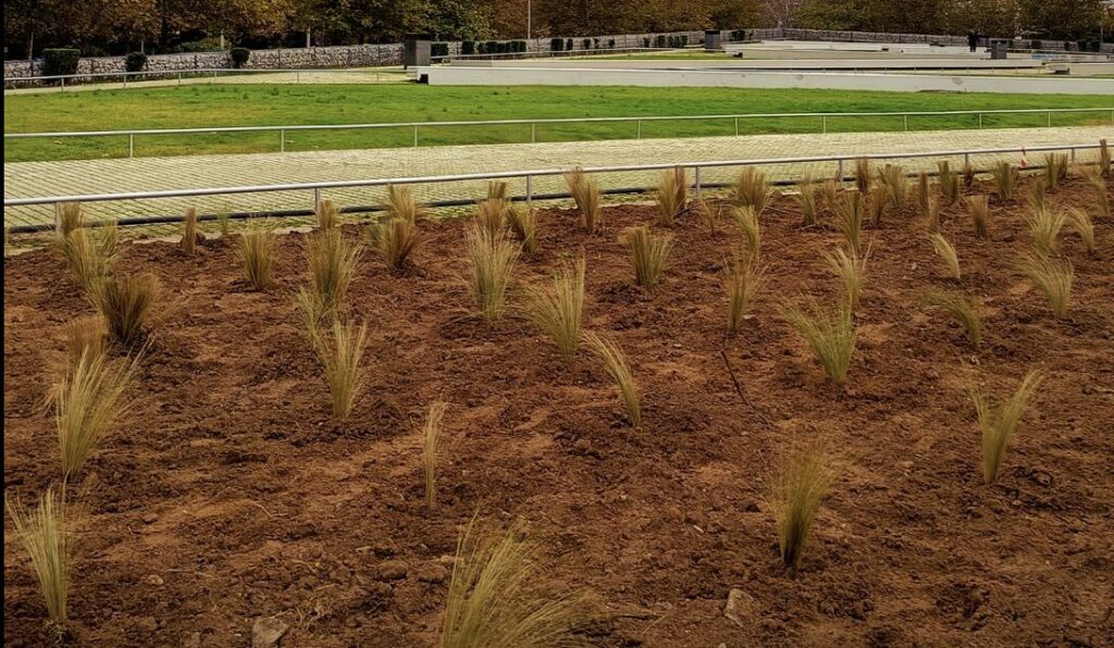 θεσσαλονίκη-οι-στίπες-επανέρχονται-σ-1402426
