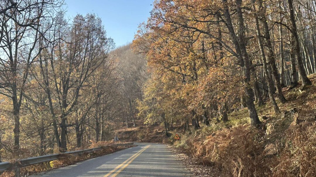 εικονες-η-γαλήνια-ομορφιά-της-φθινοπω-1401170