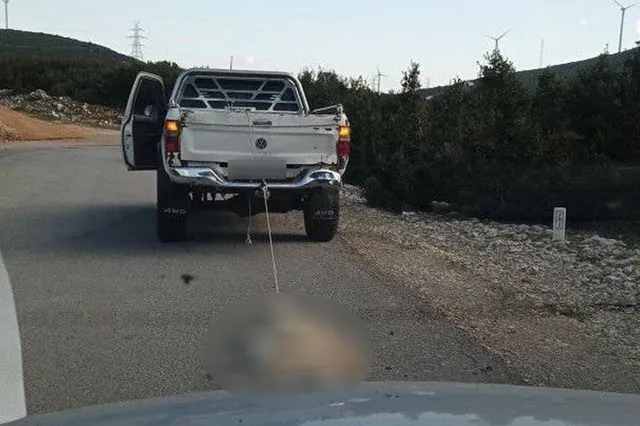 σοκ-στη-βοιωτία-αγροτικό-έσερνε-σκύλο-1397297