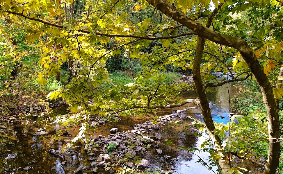 parallaxi-magazine-to-free-press-της-θεσσαλονίκης-1408562