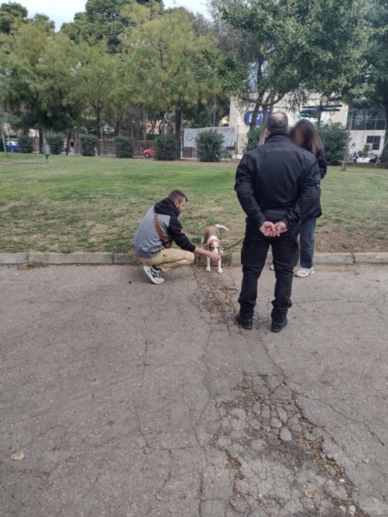 θεσσαλονίκη-πρόστιμα-έως-1-000-ευρώ-σε-ιδι-1408275