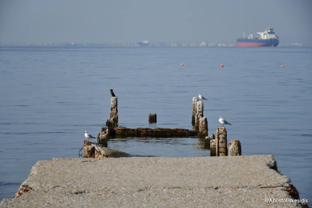εικόνες-μια-μελαγχολική-χειμερινή-βό-1408600
