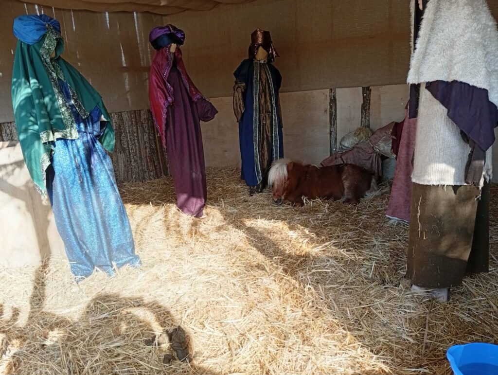 βόλος-έντονες-αντιδράσεις-για-ζωνταν-1411951