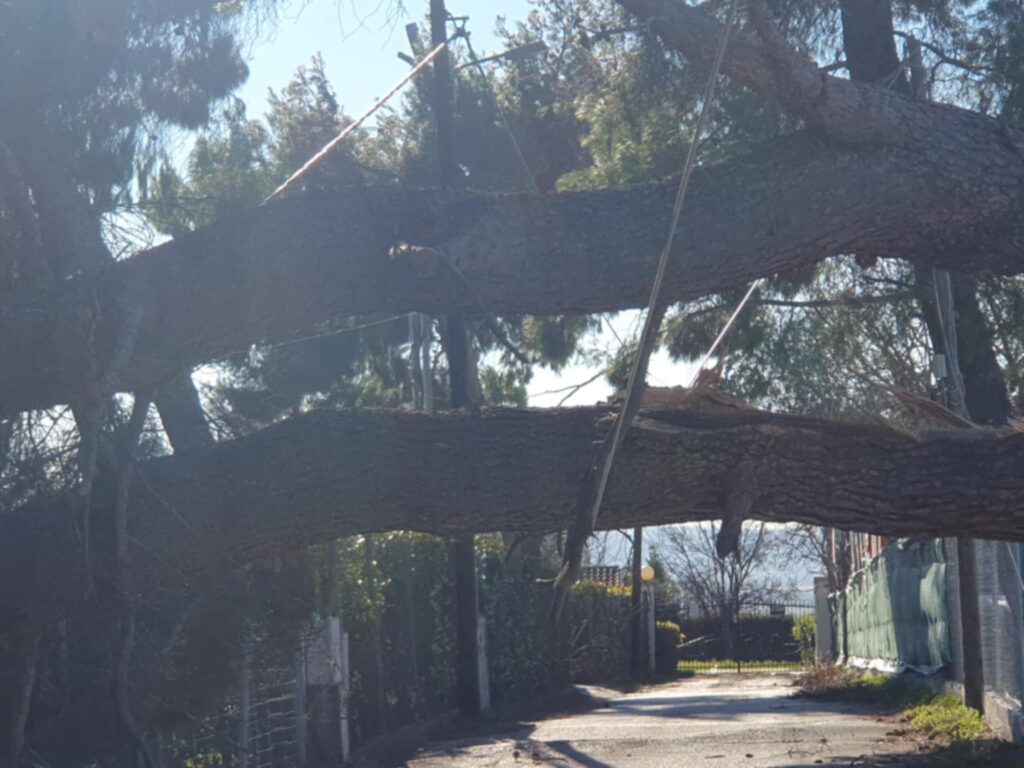 θέρμη-οι-θυελλώδεις-άνεμοι-έριξαν-28-δέ-1418683