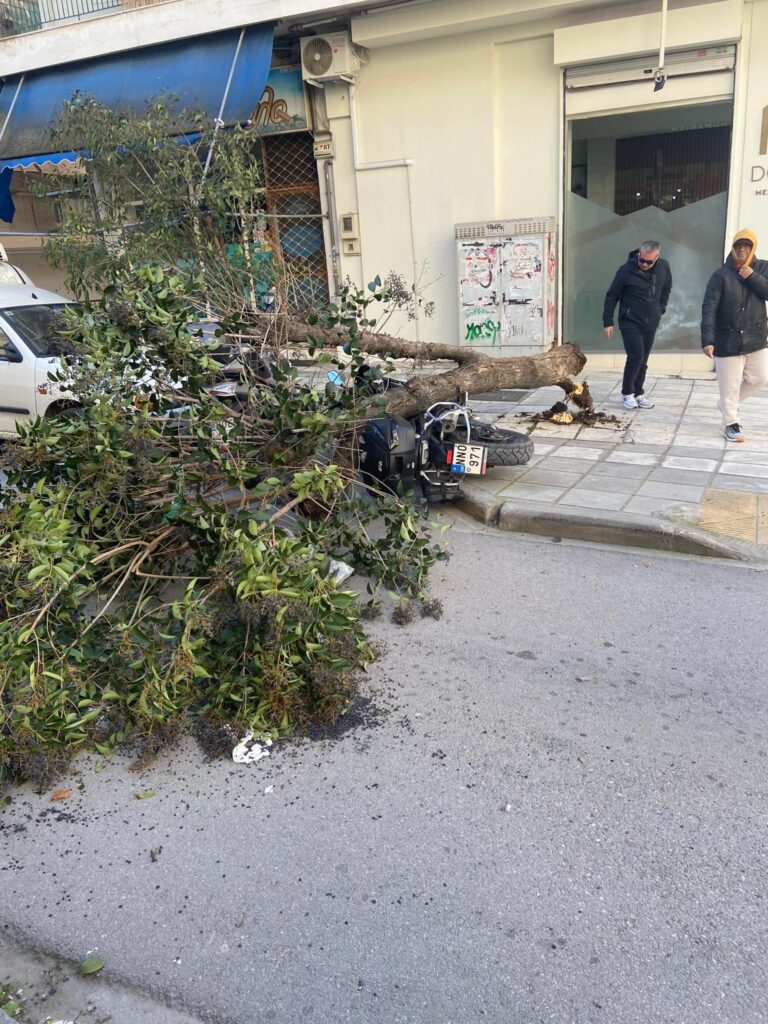 θεσσαλονίκη-πτώσεις-δέντρων-στην-καλ-1417801