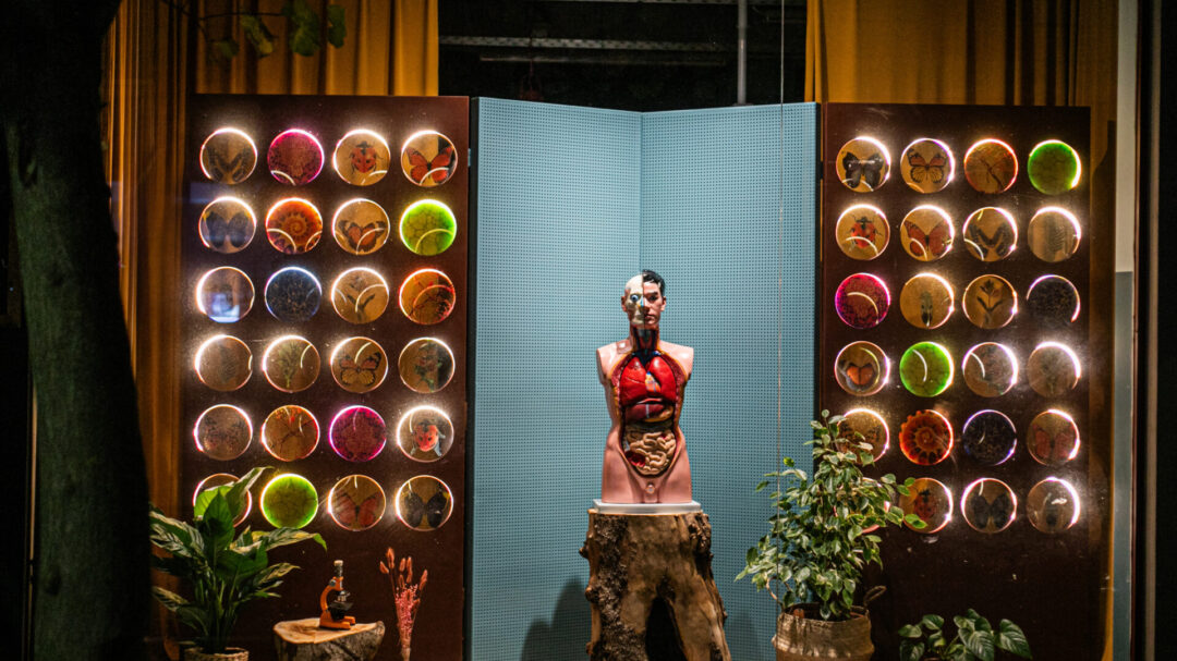 το-πρώτο-steam-lab-της-ελλάδας-ζωντανεύει-σ-1408494