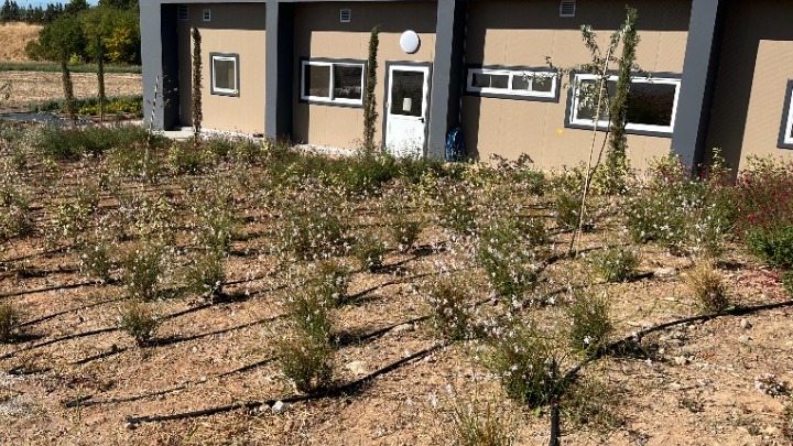 θεσσαλονίκη-15-θεματικοί-κήποι-στην-αμε-1409795