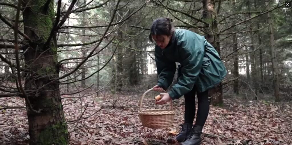 χαλκιδική-η-περιοχή-που-προσφέρεται-γ-1415225