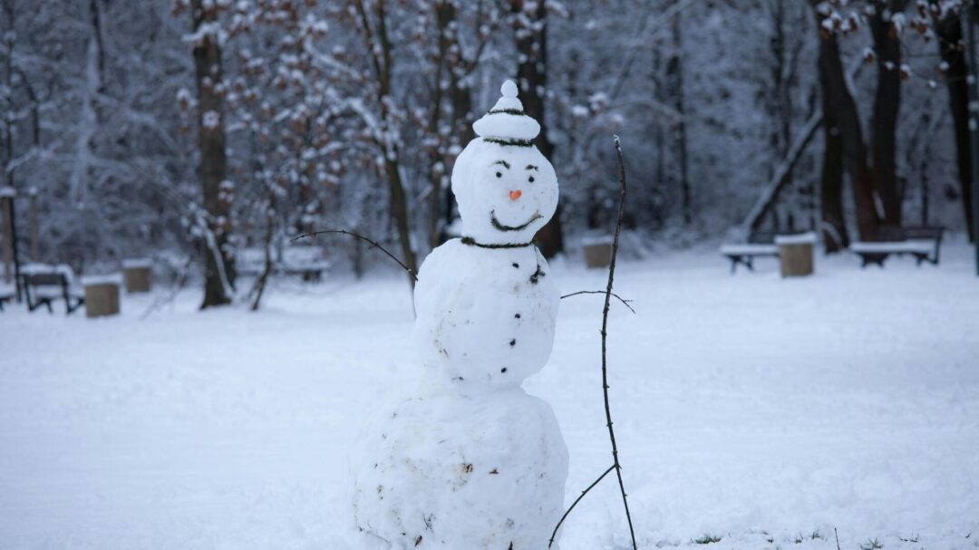πώς-ο-χιονάνθρωπος-έγινε-είδος-υπό-εξα-1417888