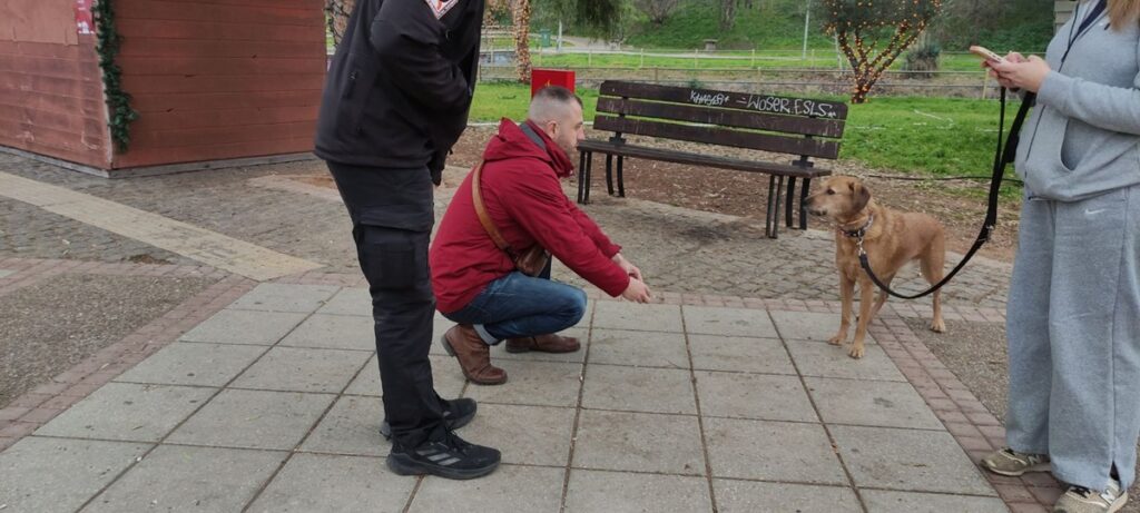 θεσσαλονίκη-πρόστιμα-έως-και-1-000-ευρώ-σε-1422904