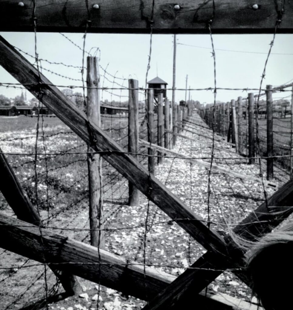 δεν-έφερα-αριθμό-στο-χέρι-είμαι-όμως-μ-1429499