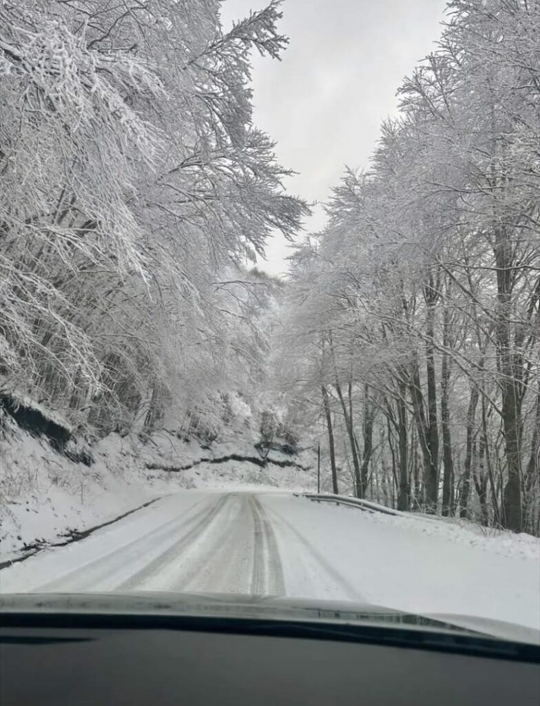 η-χιονισμένη-φλώρινα-θυμίζει-πίνακα-ζ-1421669