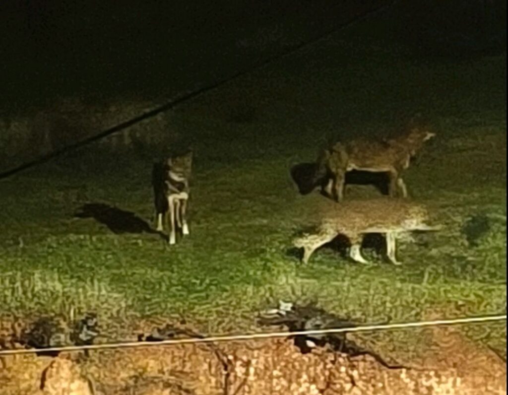 ανάστατοι-οι-κάτοικοι-στο-πανόραμα-κ-1426685