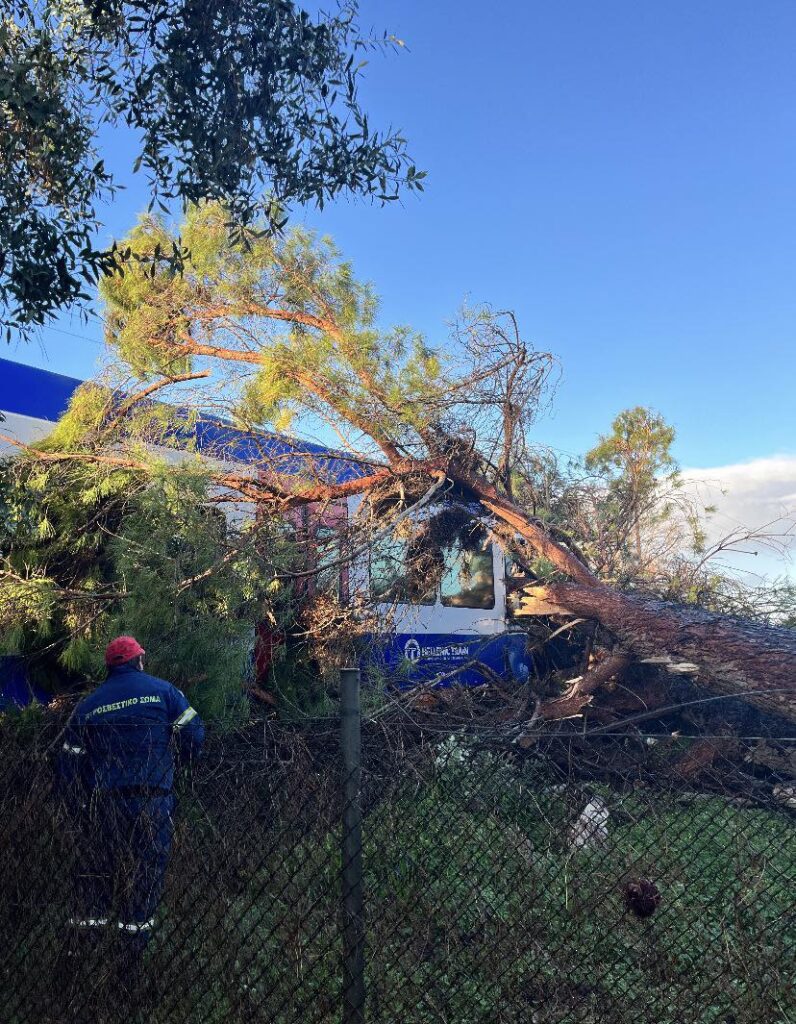 πεύκο-έπεσε-πάνω-σε-τρένο-στο-νοσοκομ-1429115