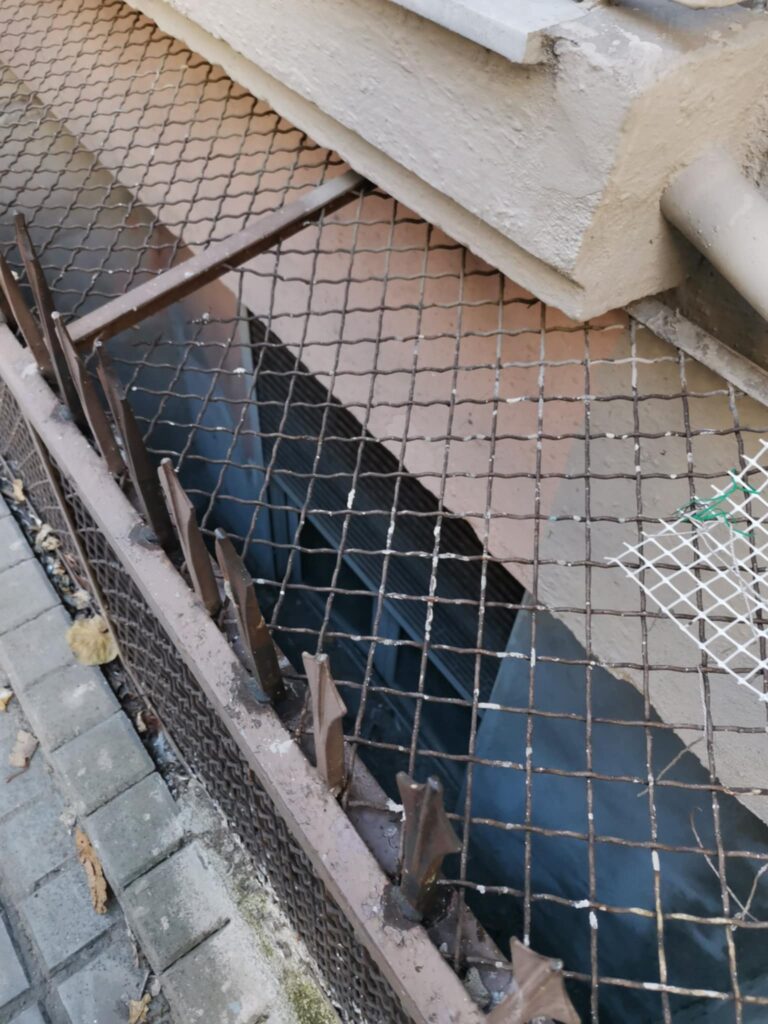 ζωή-ονειρεμένη-1424618