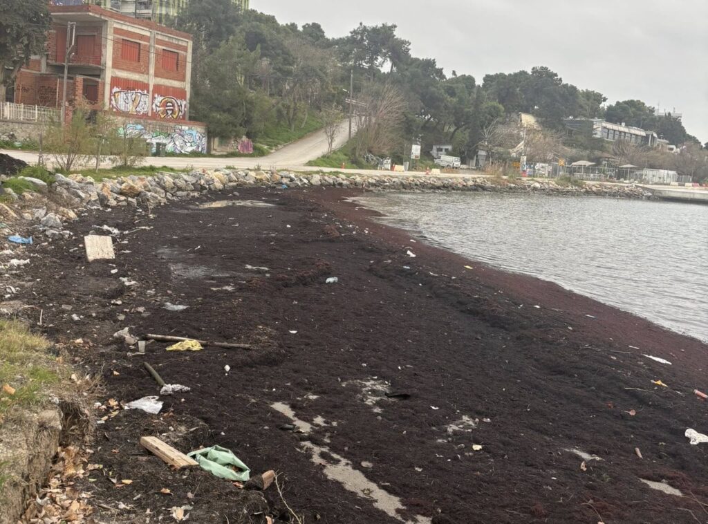 οι-θλιβερές-εικόνες-στην-παραλία-της-α-1420414