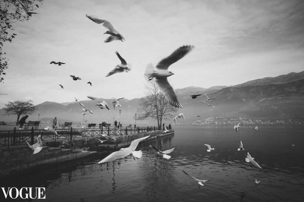 κωνσταντίνος-αλειφέρης-ο-φωτογράφος-1421638