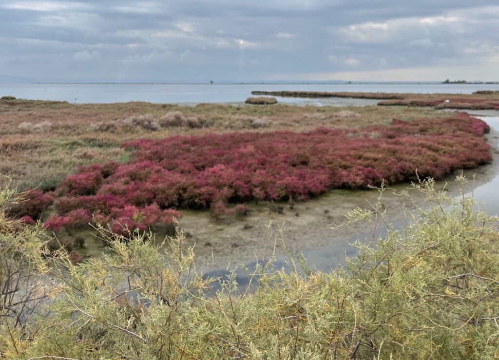 μάθημα-ζωής-πώς-το-καλοχώρι-ανοίγει-τα-1421633