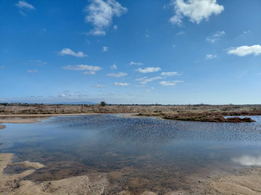 υγροβιότοπος-της-επανομής-μια-όμορφη-1428746