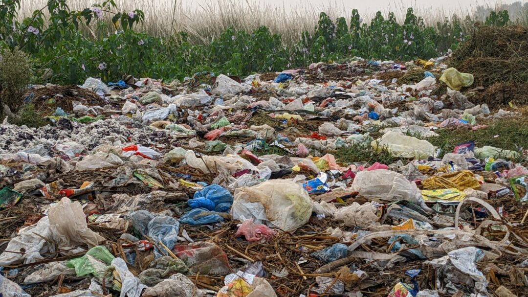 τάισέ-με-έξι-αδηφάγα-τέρατα-και-το-τέλο-1420580